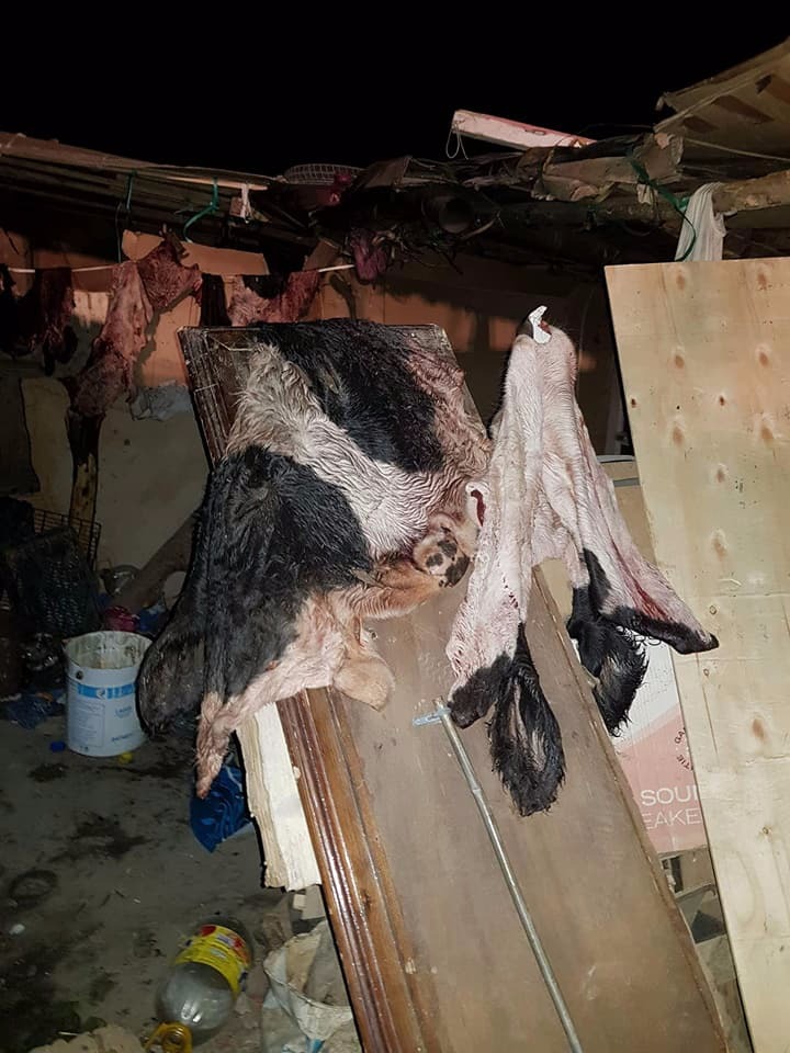 اللاجئين الأفارقة