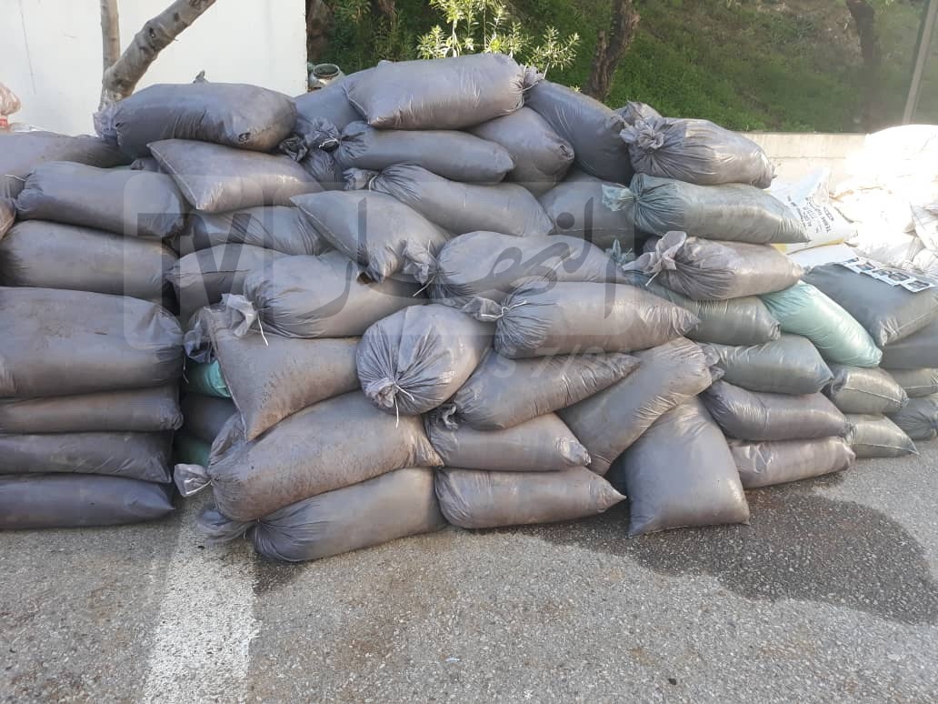 الشمة المقلدة