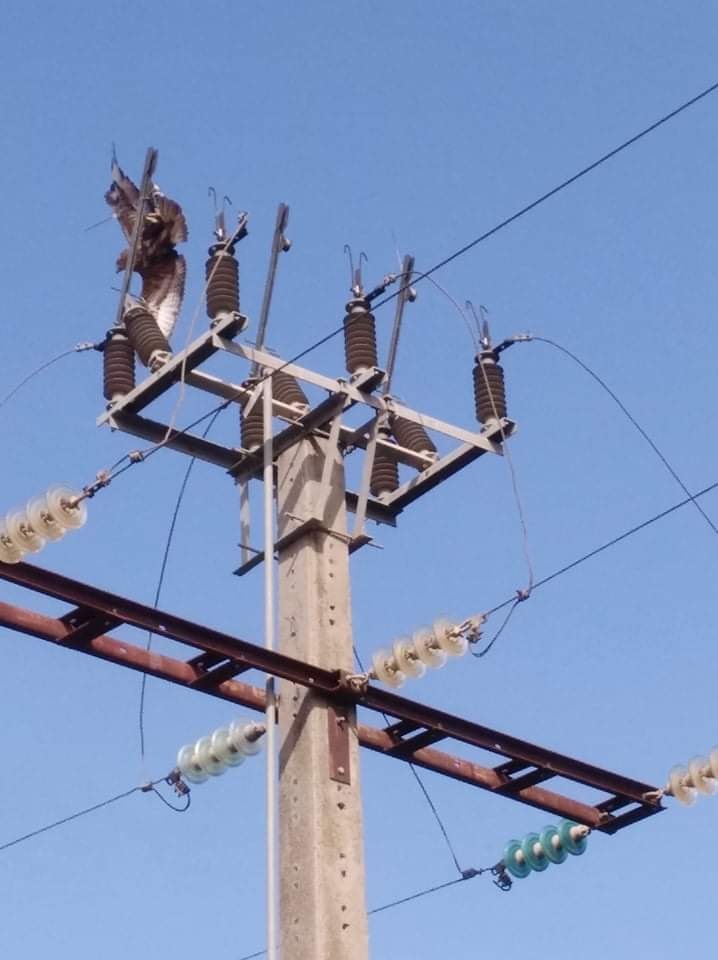 الحماية المدنية