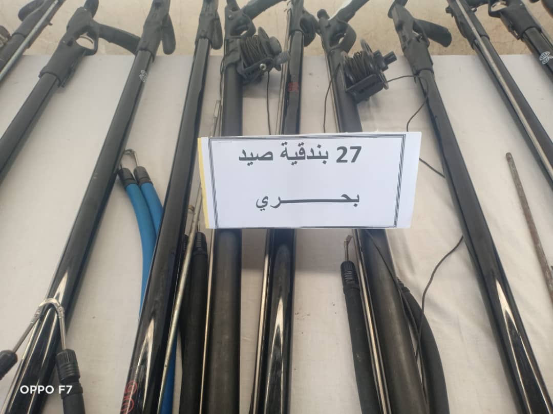 صيد