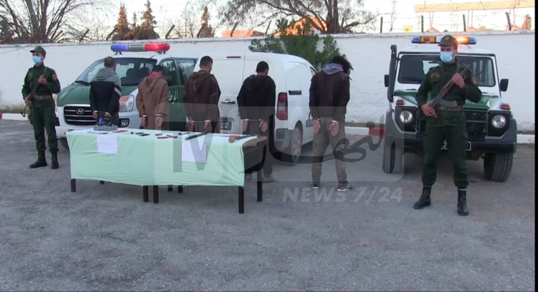 سطيف سرقة المواشي