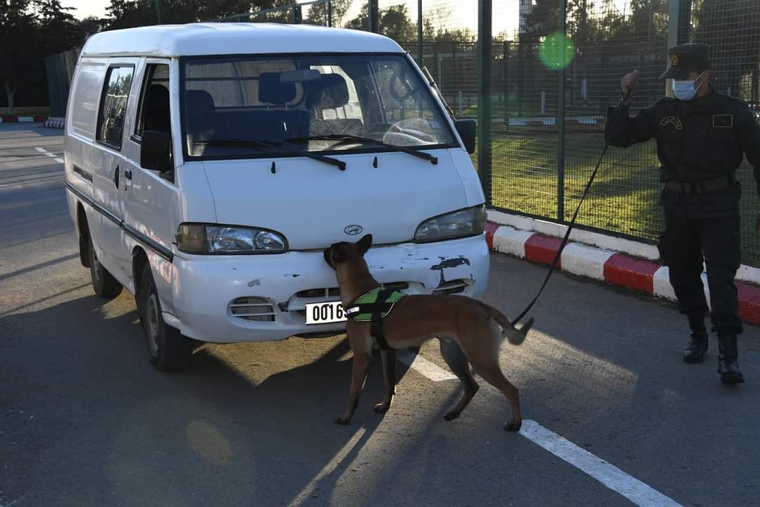 العميد قواسمية في زيارة إلى مدرسة أمن الطرقات للدرك بالعاصمة