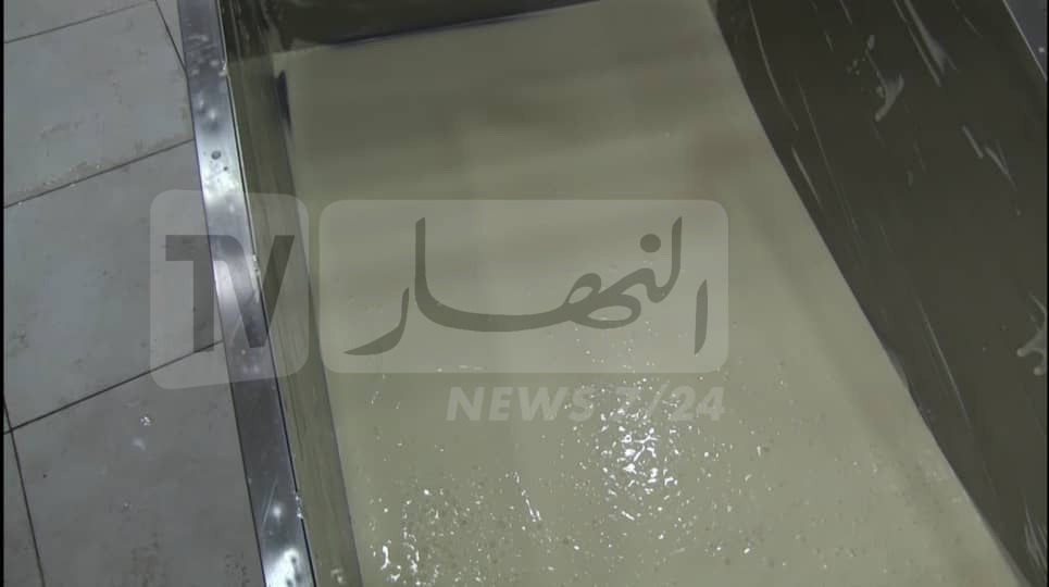 مواد غذائية