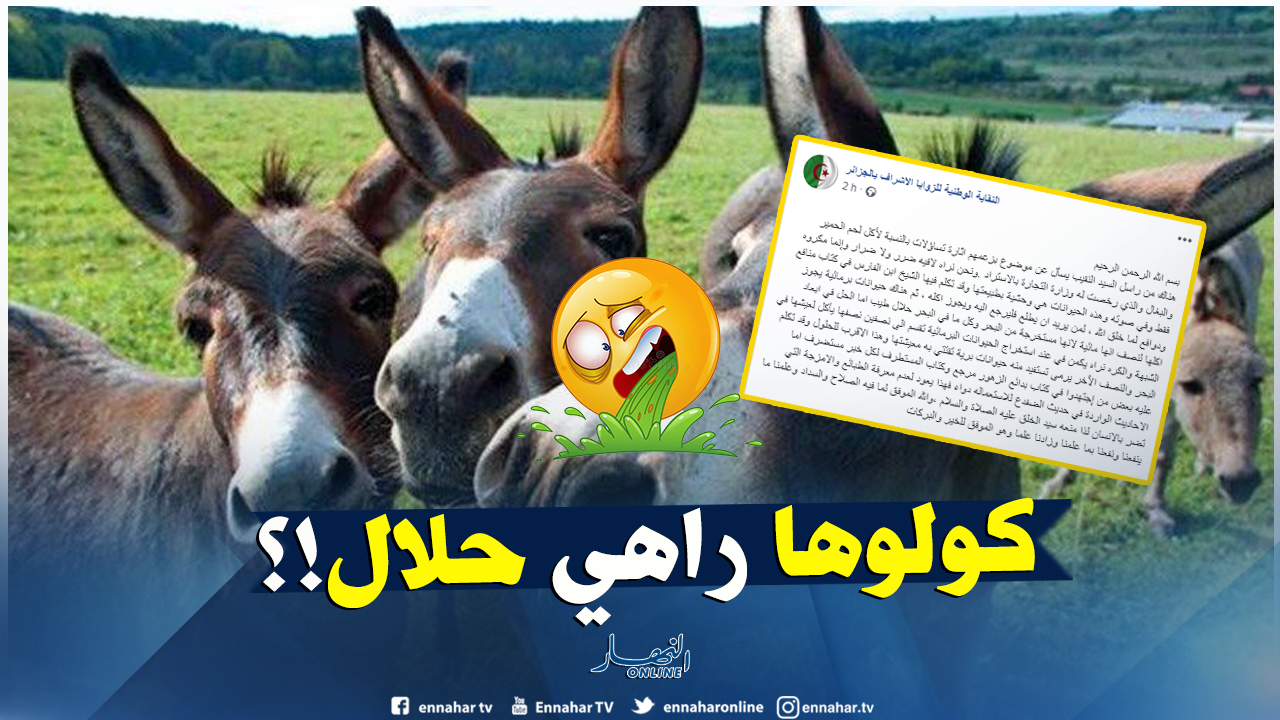 الزوايا الأشراف ي فتون للجزائريين بجواز أكل لحم الحمير والبغال النهار أونلاين