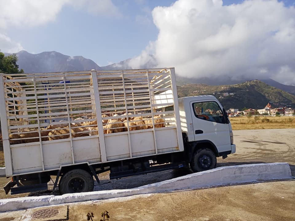 تعويض المتضررين من الحرائق