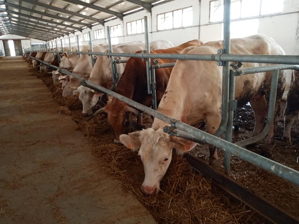 تعويض المتضررين من الحرائق