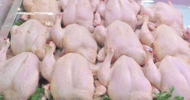 الدجاج