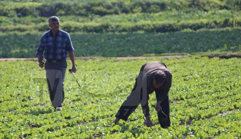 كاسنوس: الأبواب المفتوحة يومي 20 و27 سبتمبر