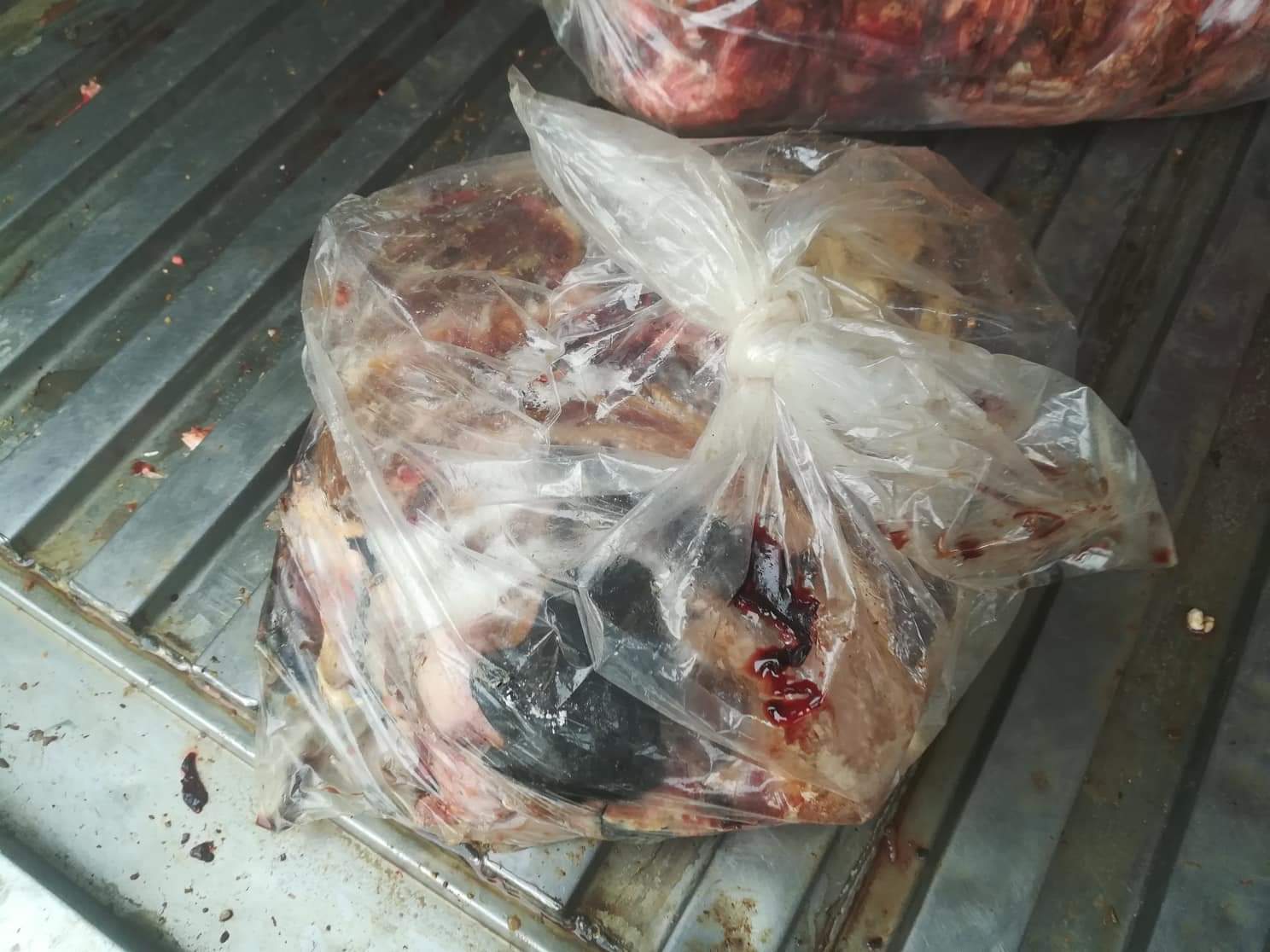 لحوم البقر الفاسدة