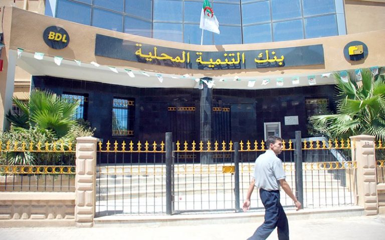 بنك التنمية المحلية