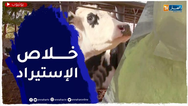 إستيراد