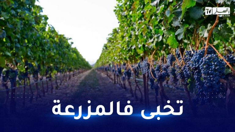 مراهق استنفار امني