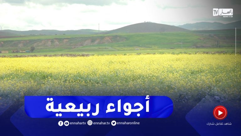 أجواء ربيعية