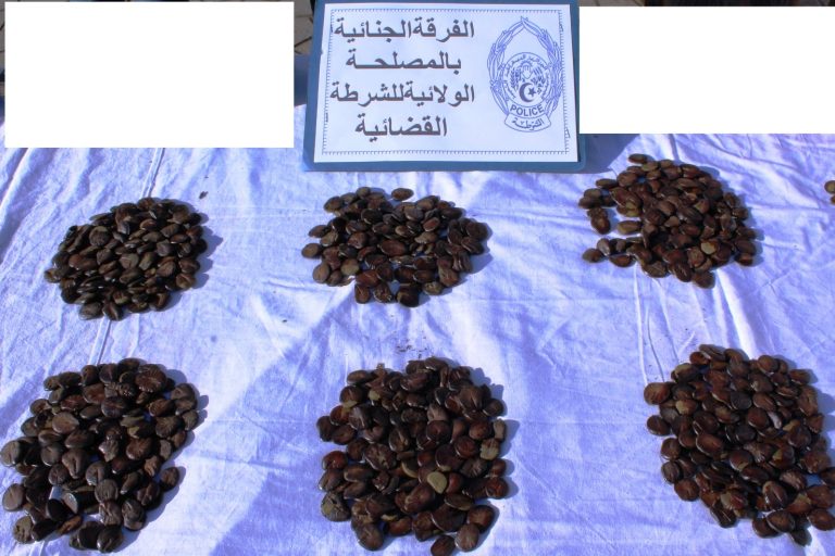 وهران