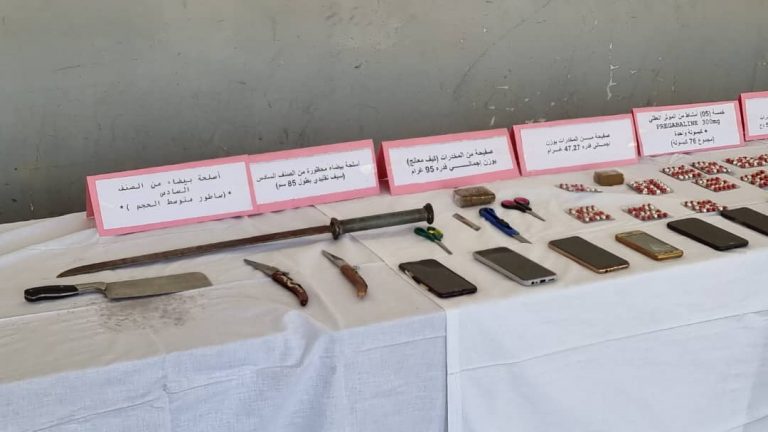 المدية