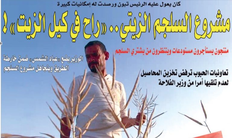 السلجم الزيتي