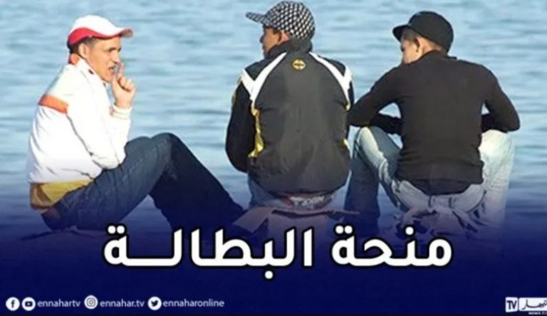 20 ألف مستفيد من منحة البطالة تم إدماجهم في عالم الشغل