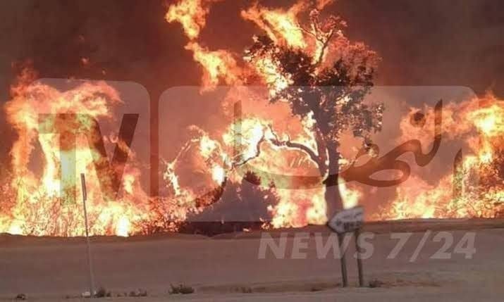  حفر خنادق وإطلاق مناقصة لاقتناء 6 طائرات لإخماد الحرائق قريبا