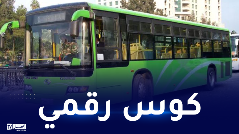 التعليم العالي