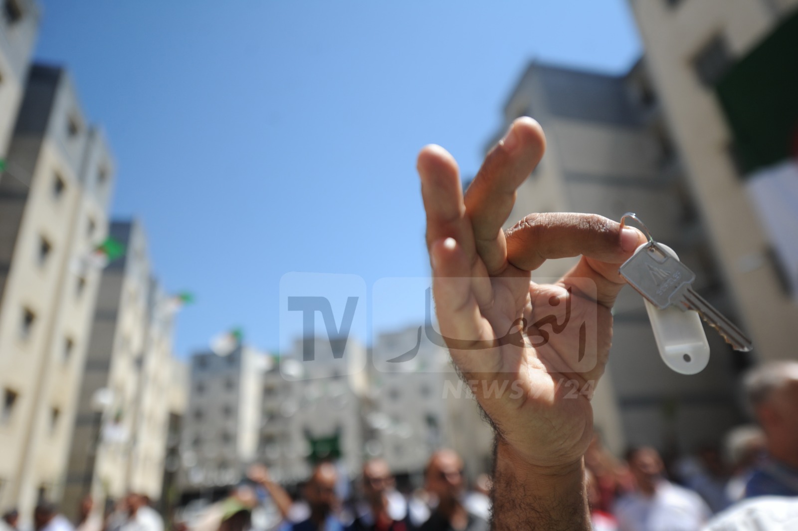 صورة الخبر