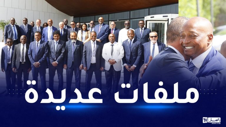 موتسيبي