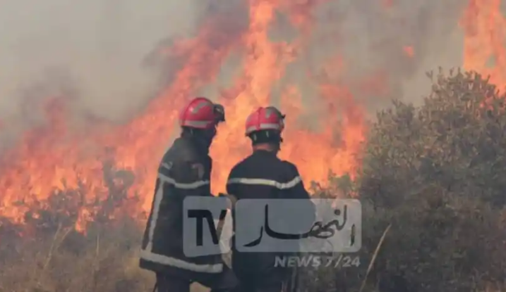 تجنيد 20 ألف عون حماية مدنية لمكافحة حرائق الغابات
