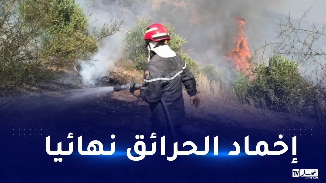 الحماية المدنية: إخماد 7 حرائق غابات عبر عدة ولايات