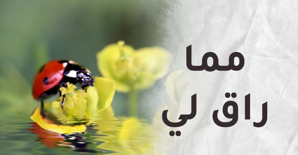 مما راق لي..الله يحبك دائما