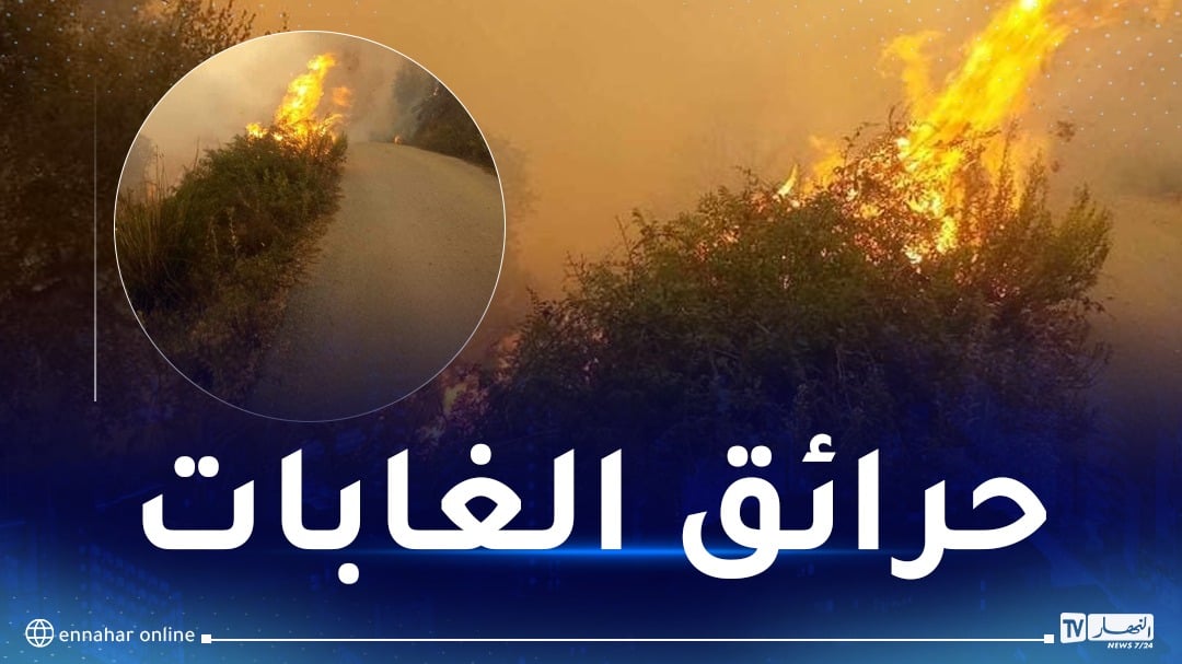 هكذا دفع أعضاء من حركة “ماك” أموالا لحرق غابات “بونيهي” بالشلف