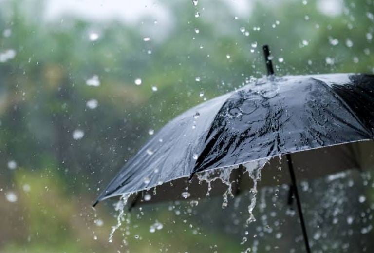 أمطار ورعود اليوم وغدا بهذه الولايات