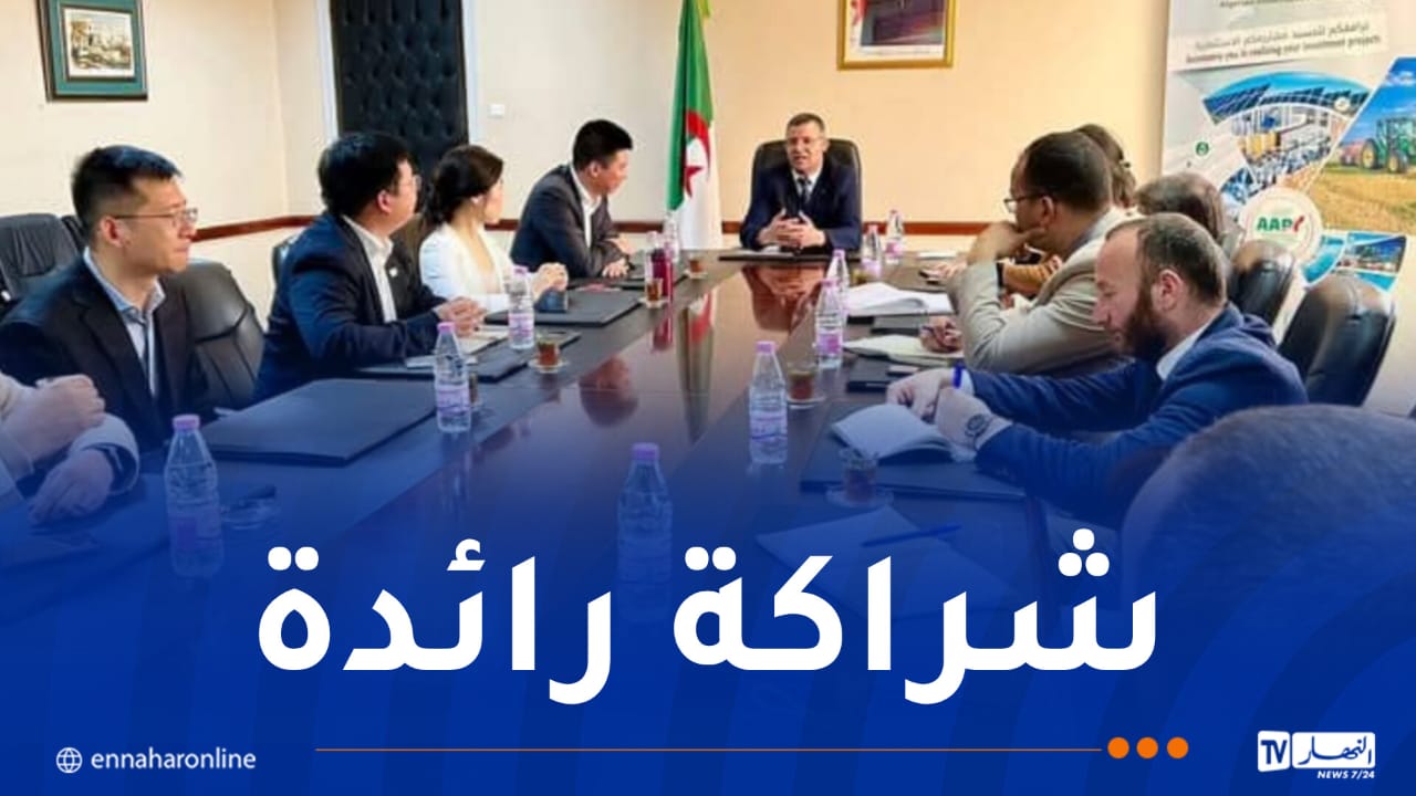 الرائد في الطاقات المتجددة “LONGI” يبدي اهتمامه بتجسيد مشروع لصناعة الألواح الشمسية في الجزائر