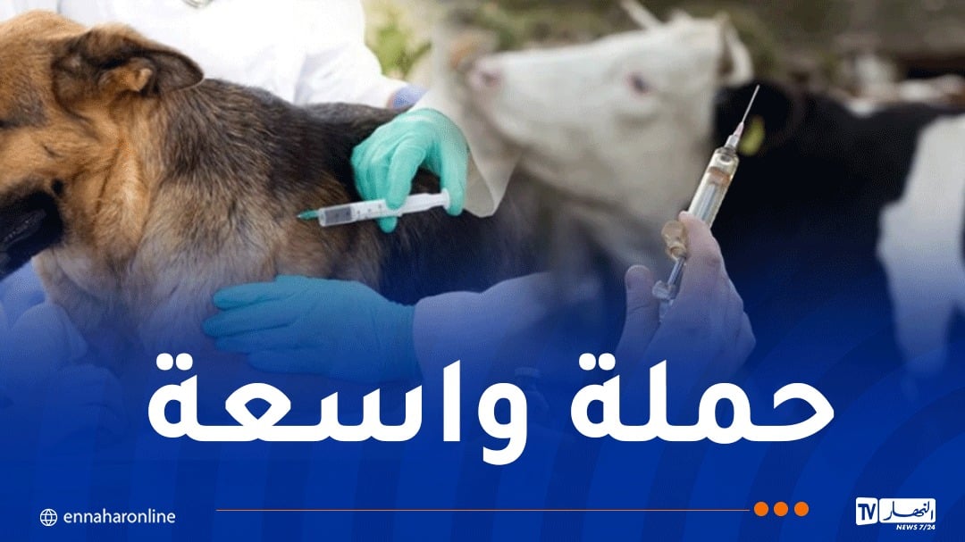 إطلاق حملة تلقيح واسعة ضد داء الكلب والحمى القلاعية للأبقار