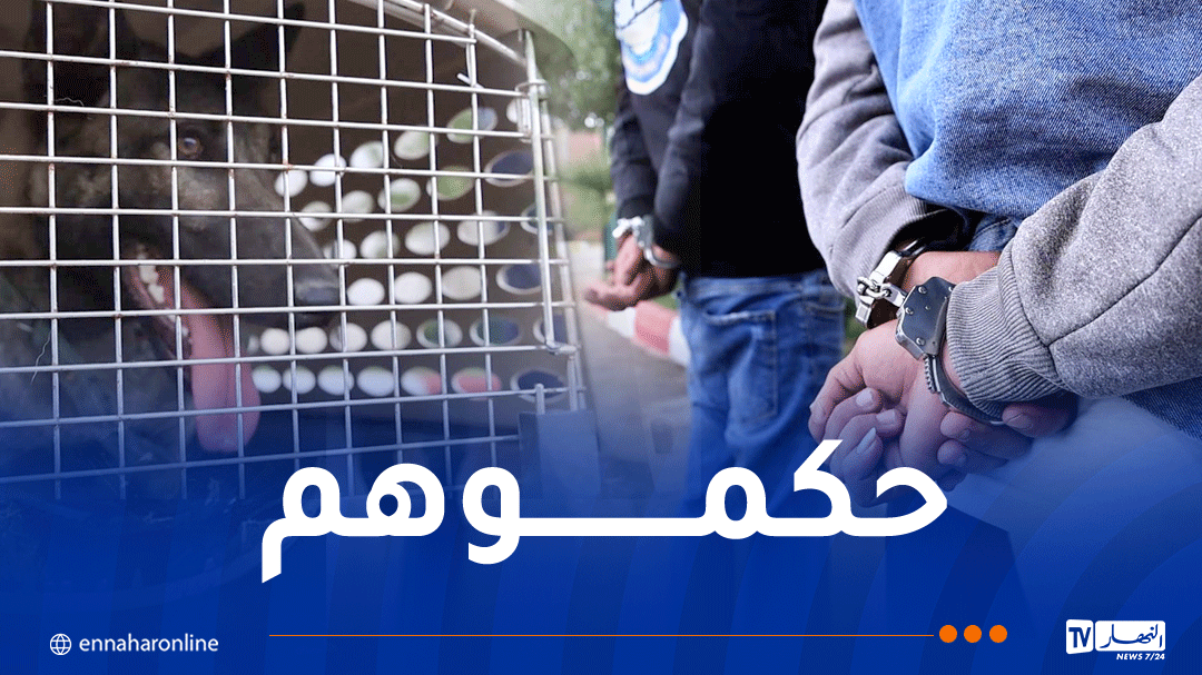 تيارت.. توقيف شخصين قاما بتحريض كلب على طفل قاصر