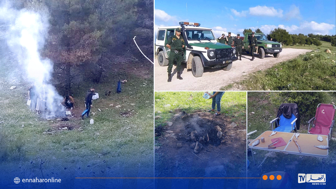 سطيف.. ضبط عدد من الأشخاص يشعلون مواقد الشواء بغابات العلمة