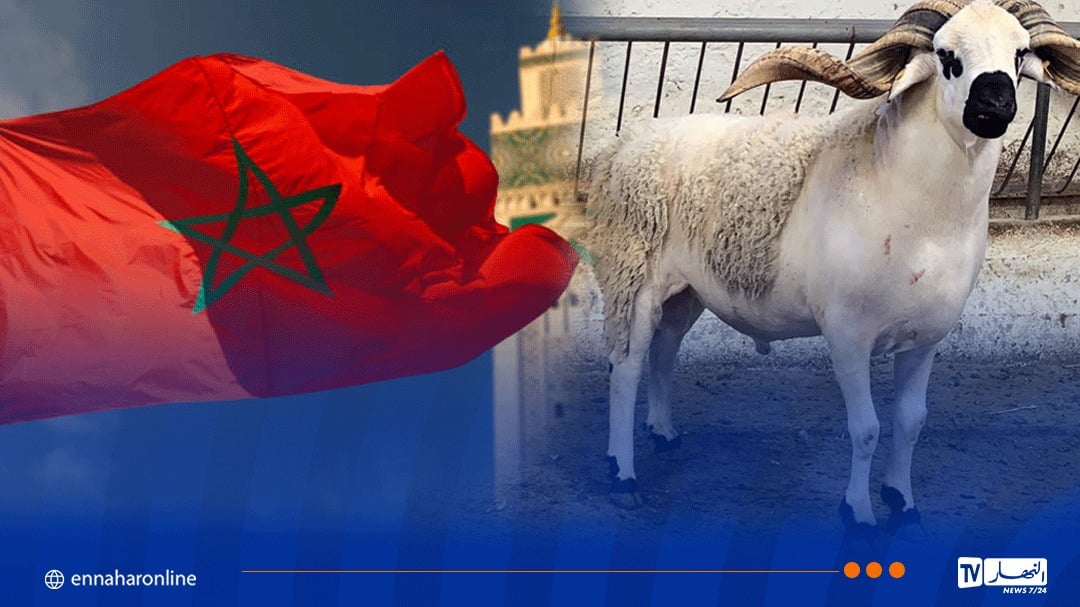  المخزن يعلن السبت يوم عيد الأضحى