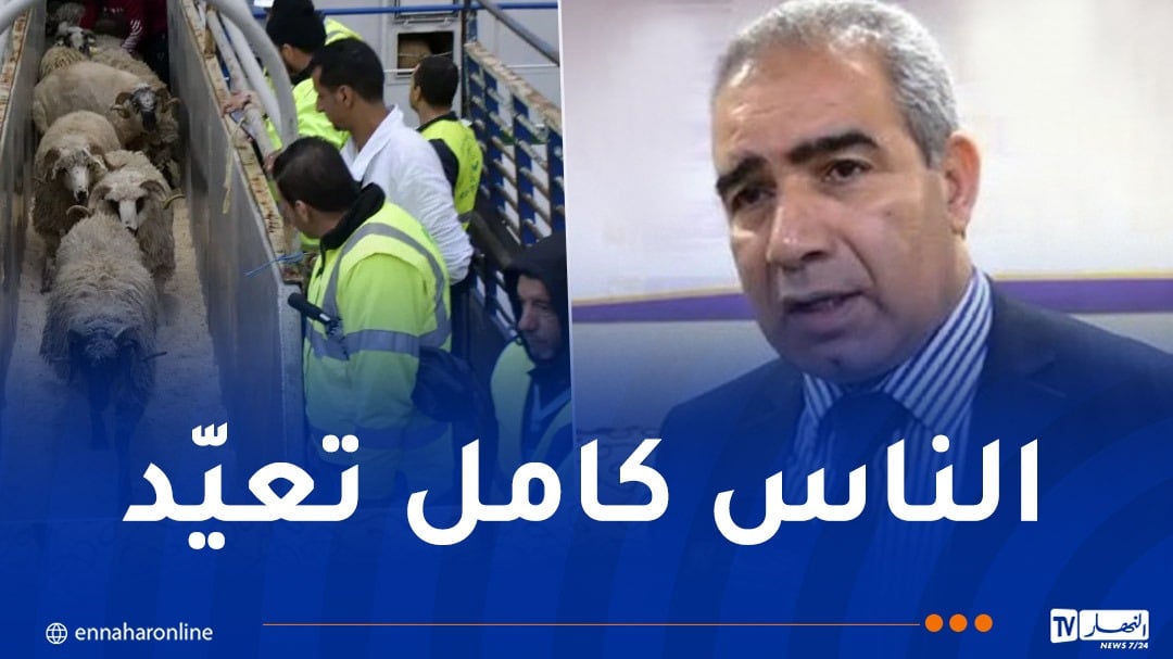 هذه تفاصيل بيع الأضاحي المستوردة