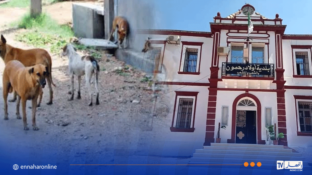 قسنطينة .. منع التجول ببلدية أولاد رحمون لهذا السبب