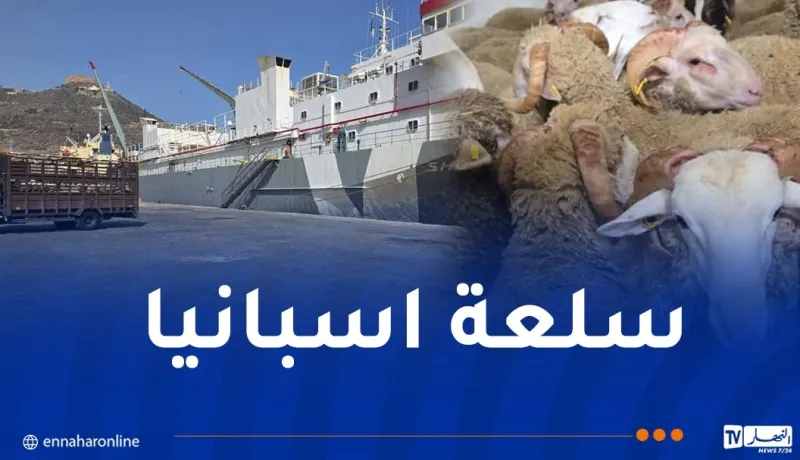 العاصمة.. وصول باخرة محملة بالأضاحي المستوردة