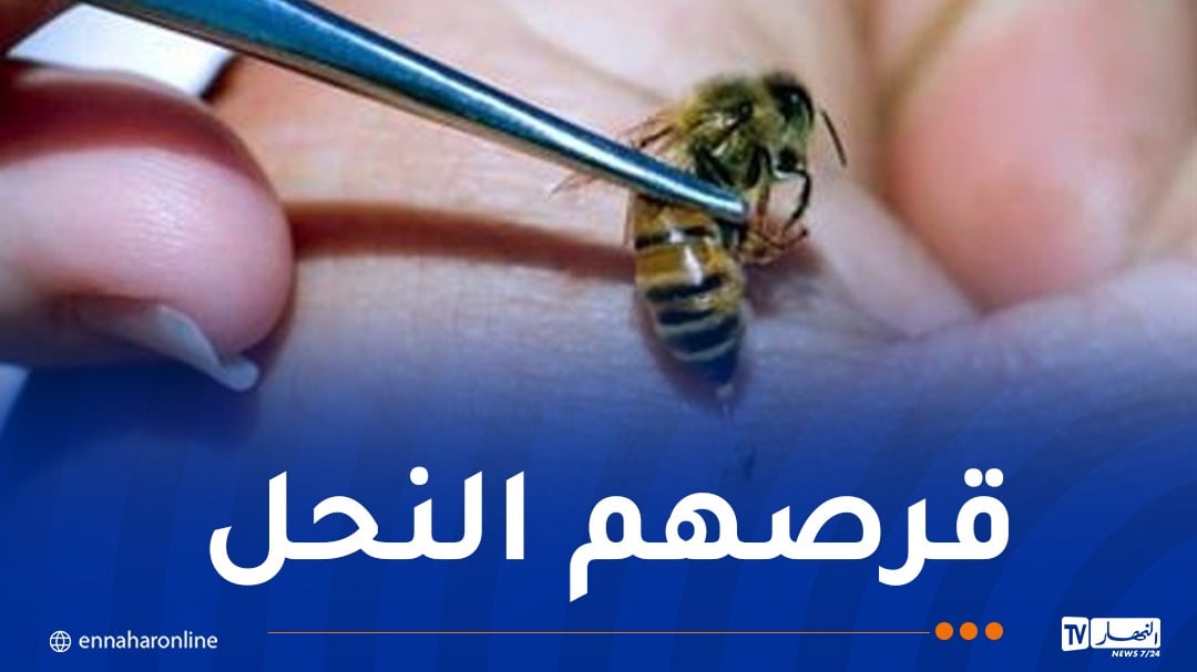 وفاة شخصين وإصابة إثنين آخرين بسبب لسعات النحل بمستغانم