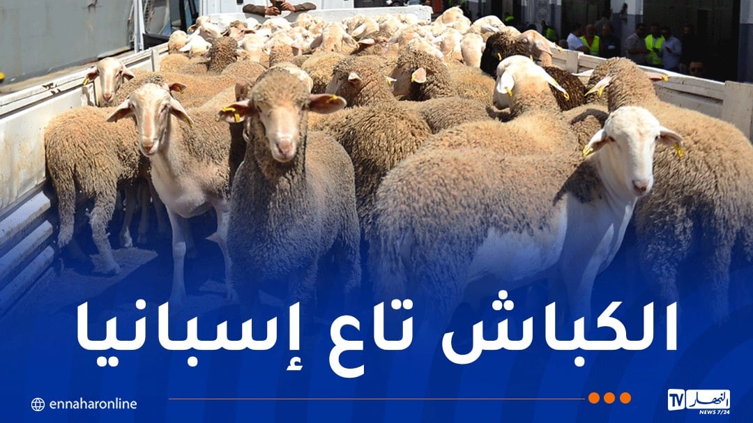 باخرة مُحملة بالأضاحي المستوردة تدخل منطقة خليج الجزائر