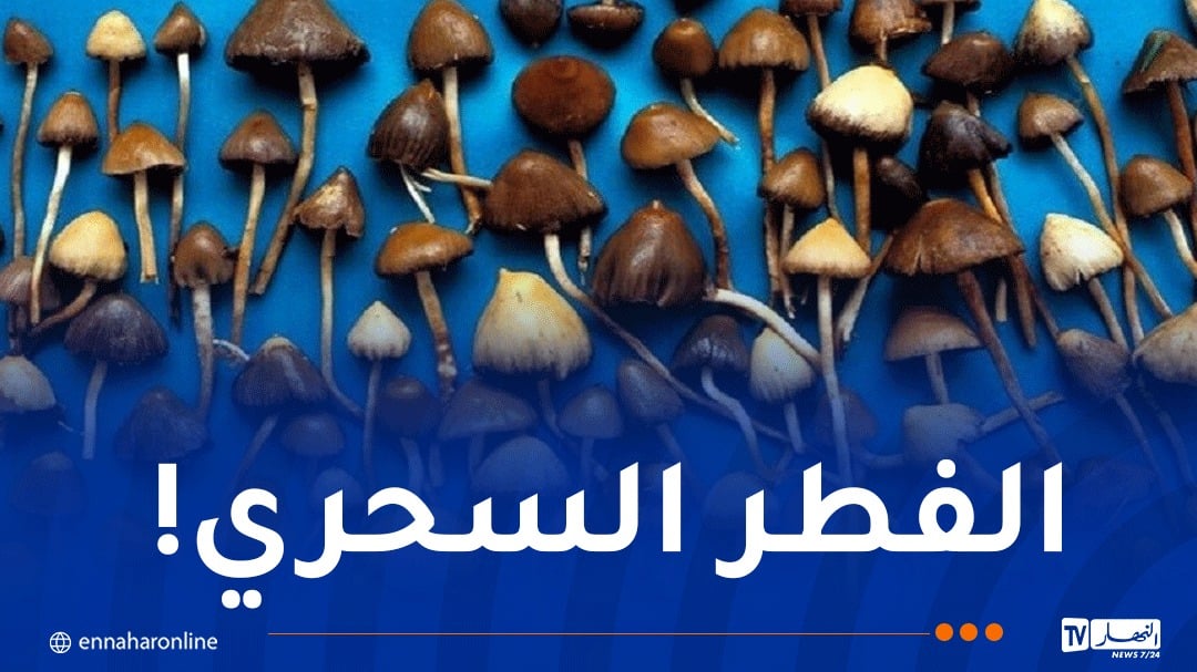 7 سنوات سجنا لطلبة جامعيين حوّلوا إقامة لحديقة تجارب لزراعة المخدرات!
