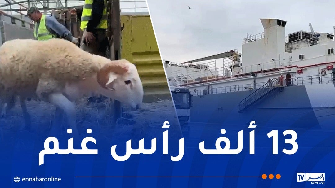 ميناء وهران.. وصول باخرة محملة بالأضاحي الإسبانية
