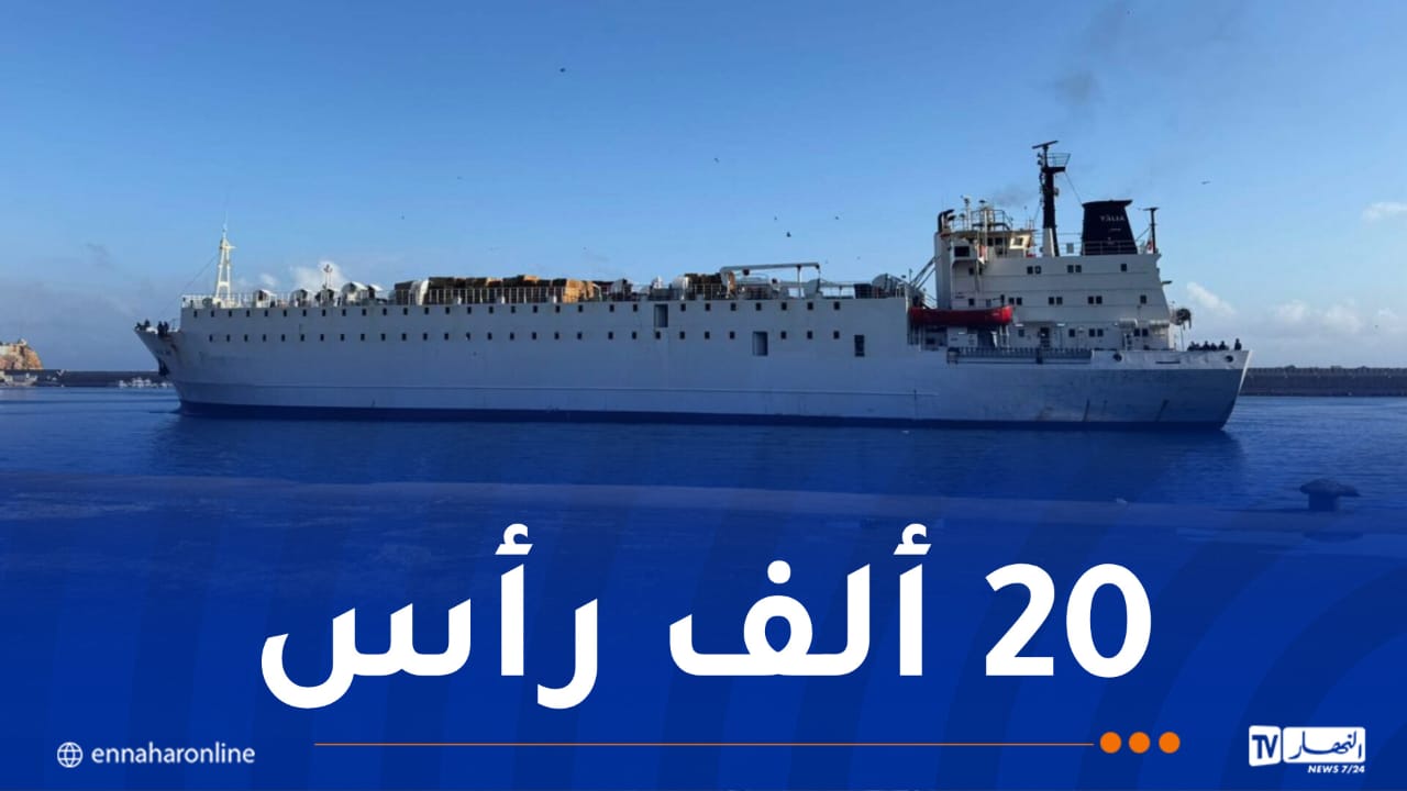 وصول باخرة محملة بالأضاحي الإسبانية إلى ميناء وهران