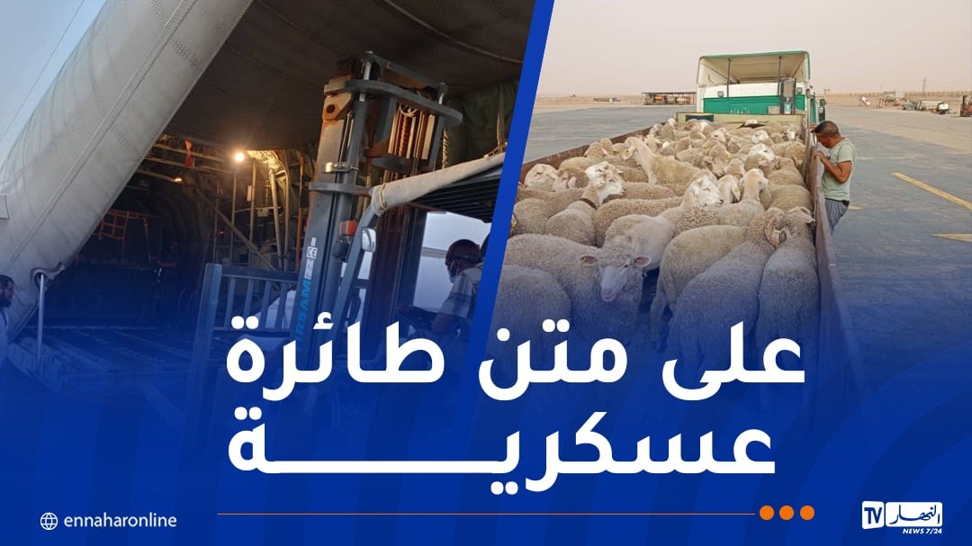 وصول أول دفعة من الأضاحي المستوردة إلى إن قزام