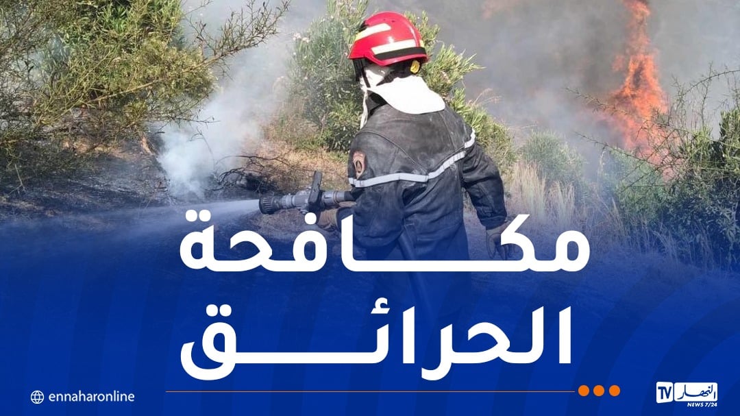 تفعيل مخطط مكافحة الحرائق.. ومنع الشواء في الغابات بعيد الأضحى