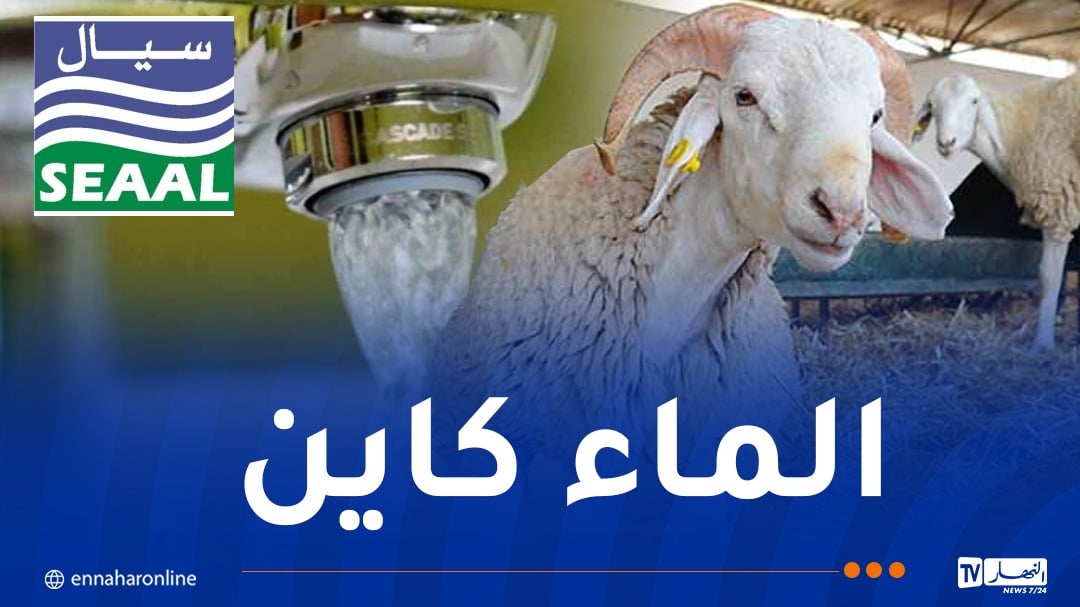 توفير الماء.. رفع درجة الاستعداد القصوى تحسبا لعيد الأضحى