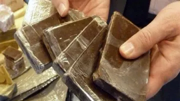 إيليزي.. 7 سنوات حبساً لمروجي مخدرات