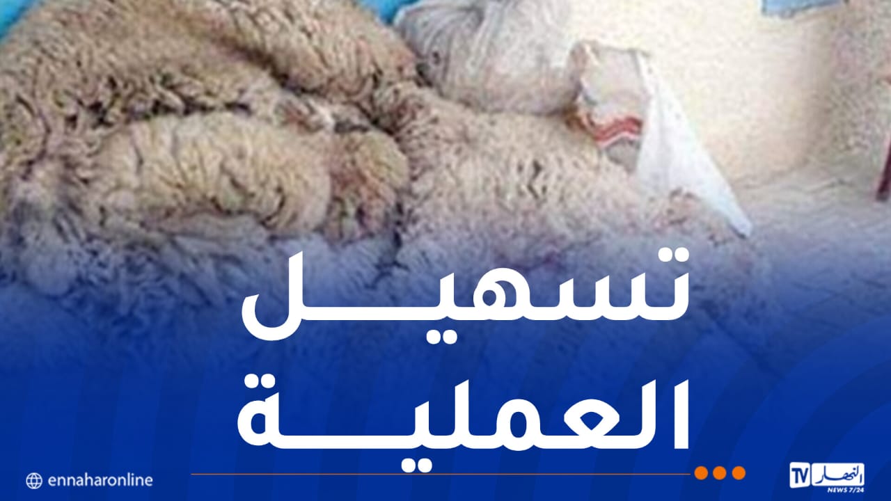 بالتفاصيل ..هذه  مواقع و نقاط جمع جلود أضاحي العيد