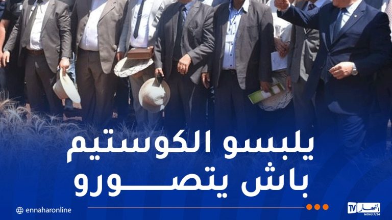 مديريات المصالح الفلاحية وتعاونيات الحبوب بداية من اليوم
