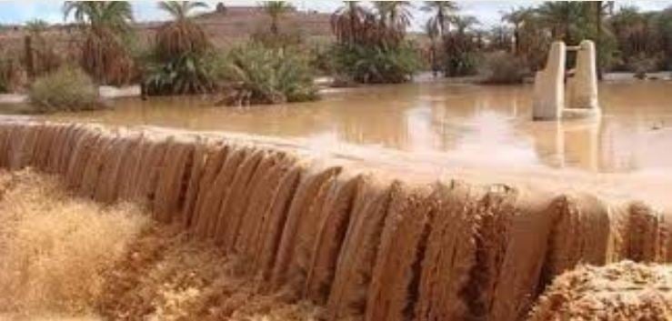 إيليزي.. إنقاذ 7 أشخاص كانوا محصورين داخل سيارة بسبب التقلبات الجوية 